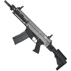 ASG CZ 805 BREN A2 DT - grey