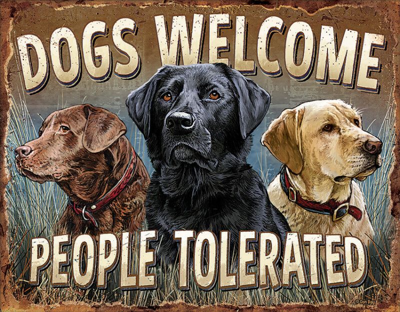 TIN SIGNS Retro plechová ceduľa Dogs Welcome (TSN2279)