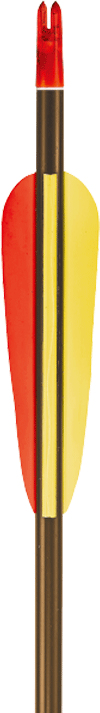 EK ARCHERY Šíp hliníkový 30" black point - brown (D-033AK)
