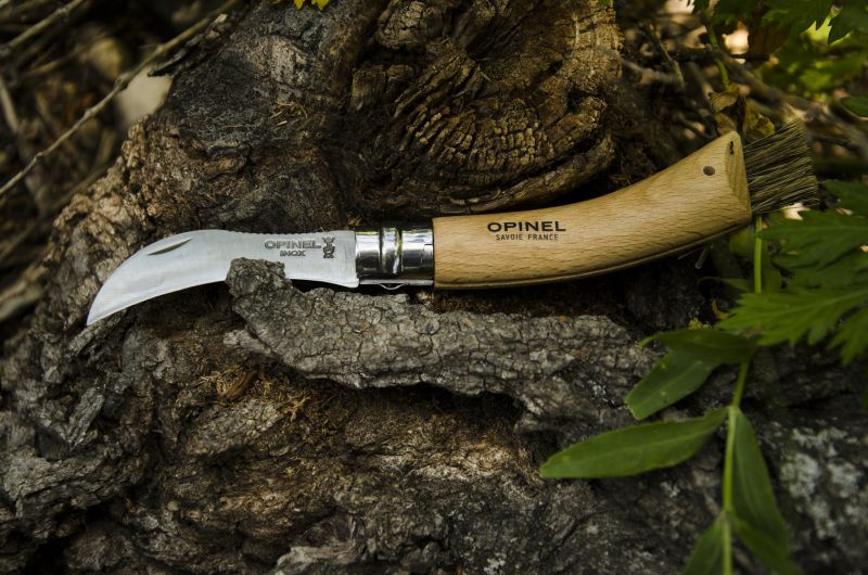 OPINEL Zatvárací nôž hubársky N°08 Inox VRI - drevo