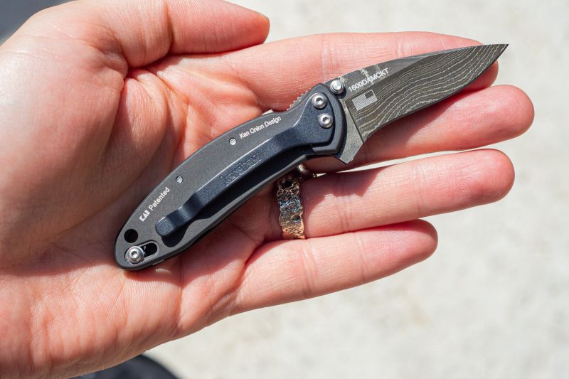 KERSHAW Zatvárací nôž Chive Framelock A/O Dam (KS1600DAMBK)