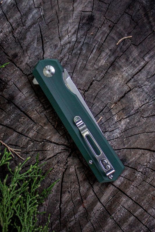 GANZO FIREBIRD Zatvárací nôž FH11 FlipperLock - green (FH11-GB)
