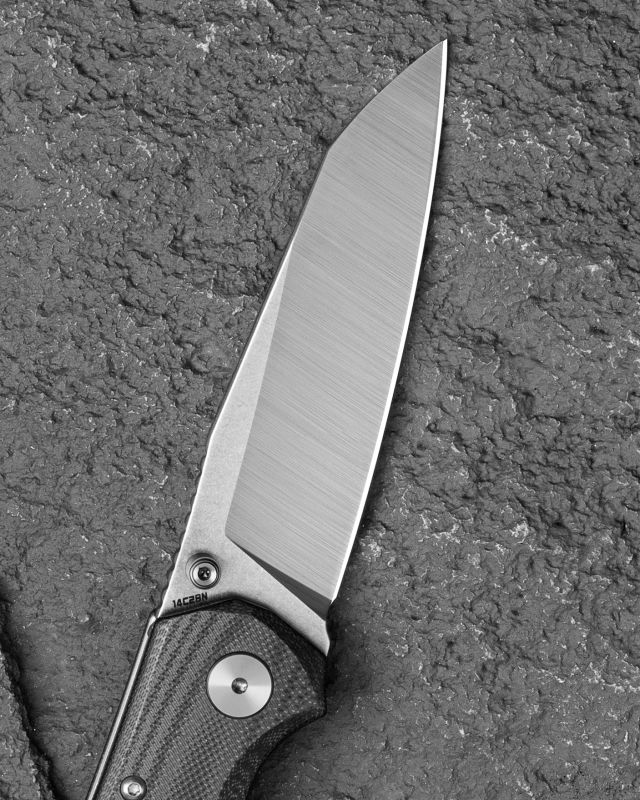 BESTECH Zatvárací nôž SNAKEBIRD ButtonLock - black (BG58C)