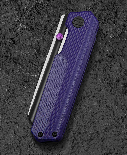 BESTECH Zatvárací nôž TARDIS LinerLock Black PVD - purple (BG54B)