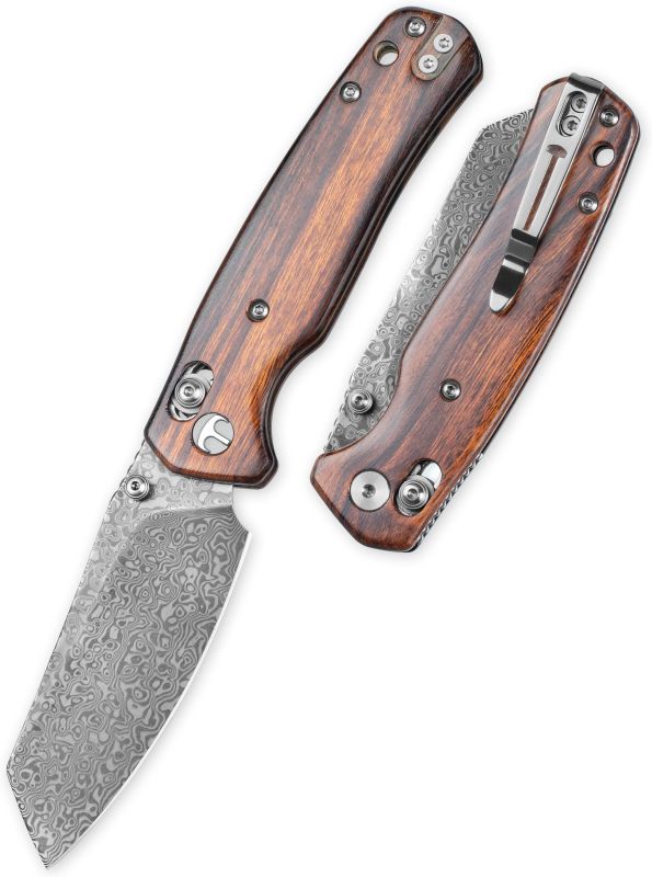 BESTECH Zatvárací nôž CICADA'S WING BarLock Damascus - desert ironwood (BMK06-W-4)